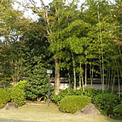 富山能楽堂　庭園