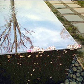 花見水盤。湧き水の水面に揺らぐ花びらと、映り込む桜の木が本当に美しい。